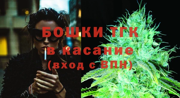 дживик Горняк