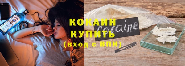 PSILOCYBIN Горно-Алтайск