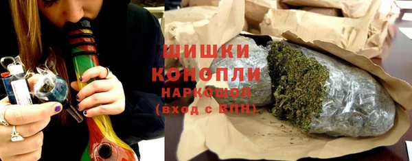 дживик Горняк
