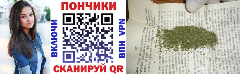 Купить где  Каргополь  Марихуана ГИДРОПОН 
